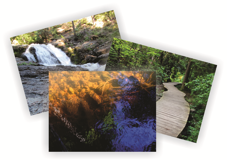 Mill Creek Park